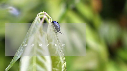 逾期房贷仲裁 逾期房贷仲裁
