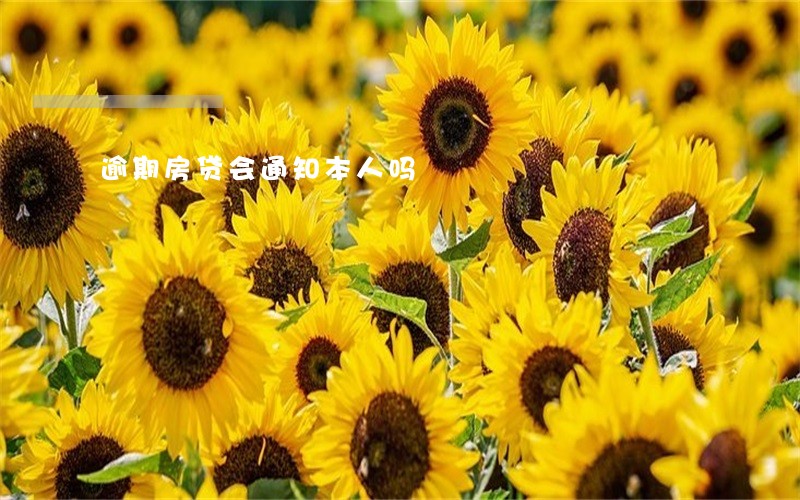 逾期房贷会通知本人吗 逾期房贷会通知本人吗