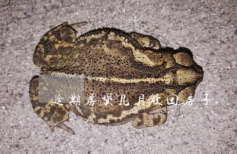 逾期房贷几月收回房子 逾期房贷几月收回房子