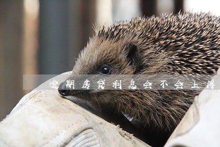 逾期房贷利息会不会上浮 逾期房贷利息会不会上浮