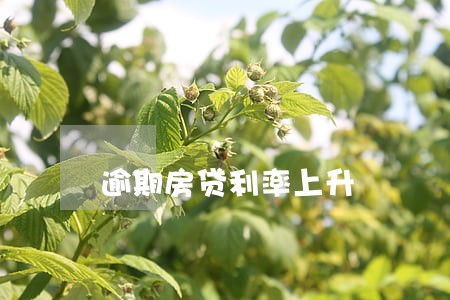 逾期房贷利率上升 逾期房贷利率上升