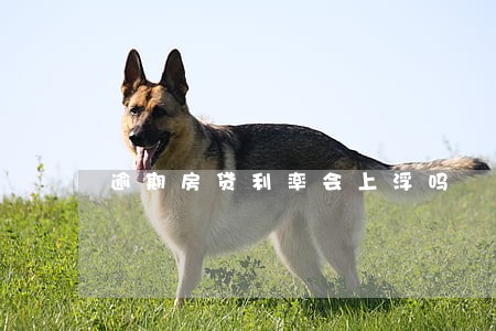 逾期房贷利率会上浮吗 逾期房贷利率会上浮吗