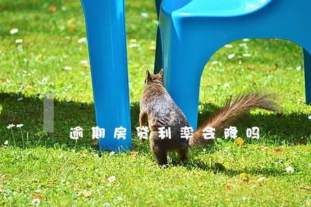 逾期房贷利率会降吗 逾期房贷利率会降吗