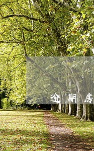 逾期房贷利率怎么计算