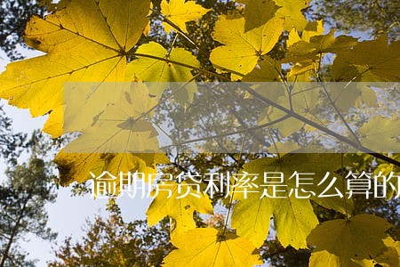 逾期房贷利率是怎么算的 逾期房贷利率是怎么算的