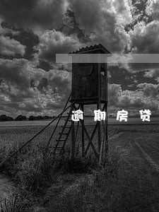 逾期房贷包装公司 逾期房贷包装公司