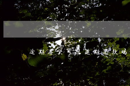 逾期房贷可以延期还款吗 逾期房贷可以延期还款吗