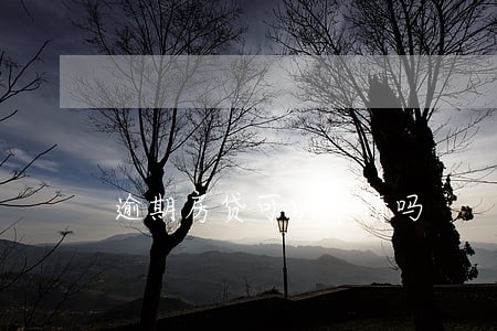 逾期房贷可以申请吗 逾期房贷可以申请吗
