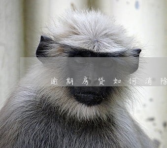 逾期房贷如何消除 逾期房贷如何消除