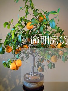 逾期房贷带不了 逾期房贷带不了