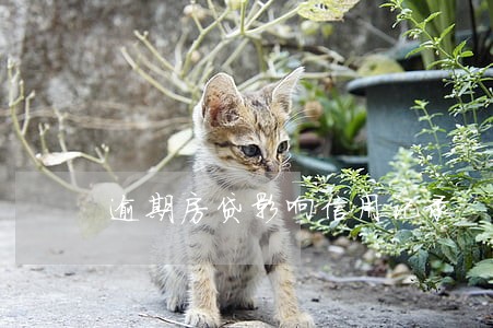 逾期房贷影响信用记录 逾期房贷影响信用记录