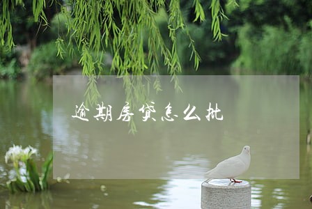 逾期房贷怎么批 逾期房贷怎么批