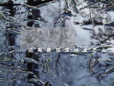 逾期房贷滞纳金怎么算的 逾期房贷滞纳金怎么算的