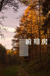 逾期房贷的人 逾期房贷的人