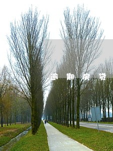 逾期房贷的人多吗 逾期房贷的人多吗