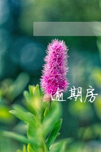 逾期房贷能去做抵押吗 逾期房贷能去做抵押吗