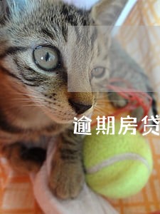 逾期房贷能申请延期吗 逾期房贷能申请延期吗
