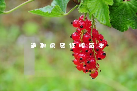 逾期房贷证明范本 逾期房贷证明范本