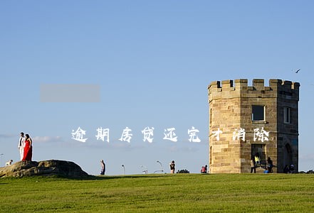 逾期房贷还完才消除