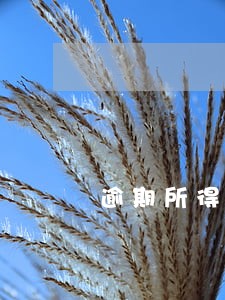 逾期所得税申报怎么办 逾期所得税申报怎么办