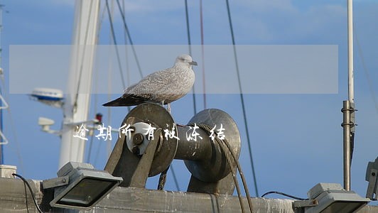 逾期所有被冻结 逾期所有被冻结