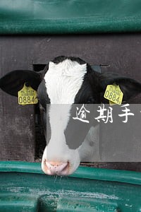 逾期手机代货三年了怎么办 逾期手机代货三年了怎么办