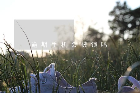 逾期手机会被锁吗 逾期手机会被锁吗