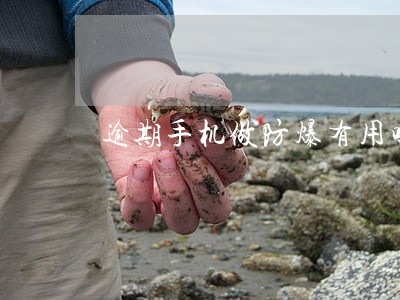逾期手机做防爆有用吗 逾期手机做防爆有用吗