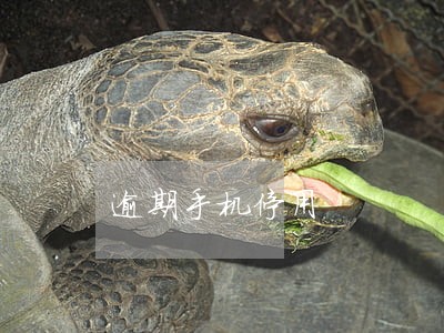 逾期手机停用