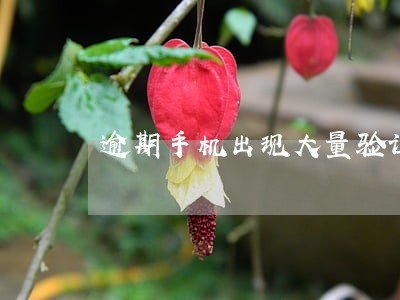 逾期手机出现大量验证码 逾期手机出现大量验证码