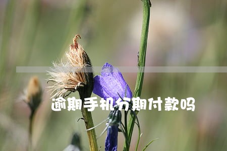 逾期手机分期付款吗