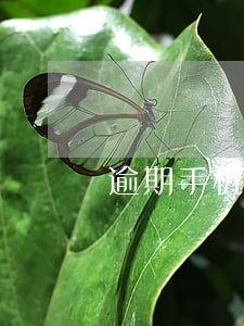 逾期手机可以分期付款 逾期手机可以分期付款