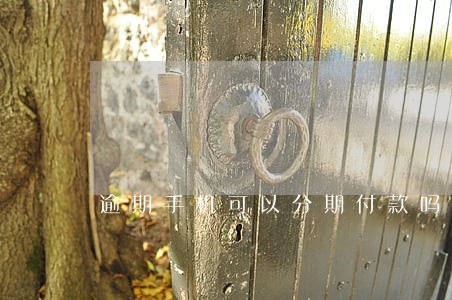 逾期手机可以分期付款吗 逾期手机可以分期付款吗