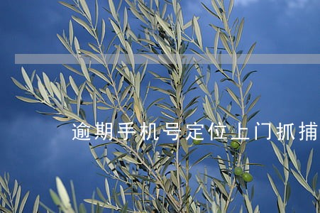 逾期手机号定位上门抓捕是真的吗 逾期手机号定位上门抓捕是真的吗