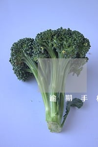 逾期手机号码曝光