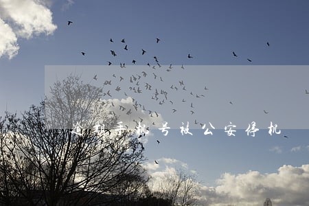 逾期手机号被公安停机