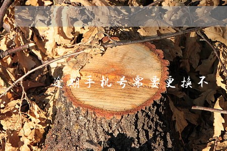 逾期手机号需要更换不