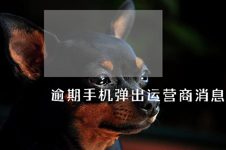 逾期手机弹出运营商消息
