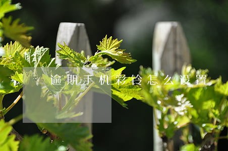 逾期手机彩铃怎么设置 逾期手机彩铃怎么设置