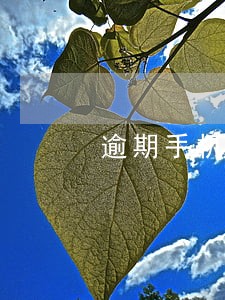 逾期手机拍隐私