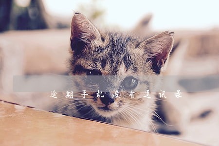 逾期手机没有通讯录 逾期手机没有通讯录