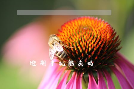 逾期手机能卖吗 逾期手机能卖吗