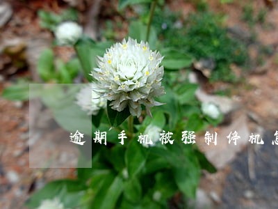 逾期手机被强制停机怎么回事 逾期手机被强制停机怎么回事
