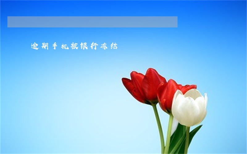 逾期手机被银行冻结 逾期手机被银行冻结