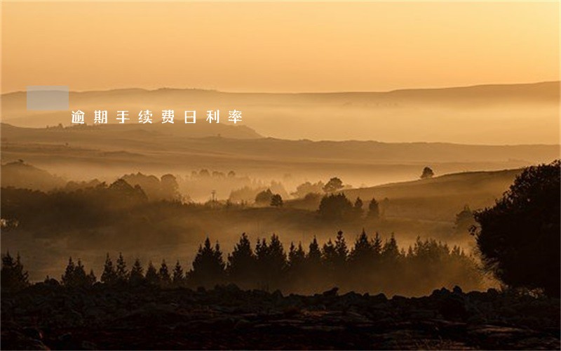 逾期手续费日利率