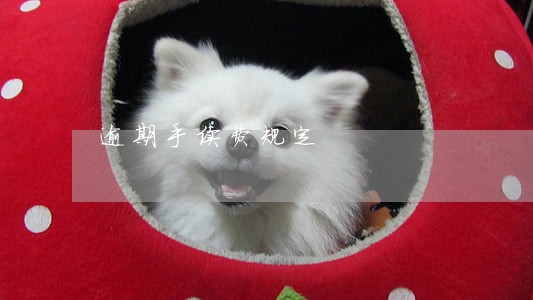 逾期手续费规定 逾期手续费规定