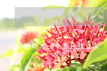 逾期才一个多月就立案