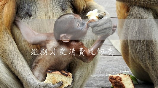逾期才交消费税的有 逾期才交消费税的有