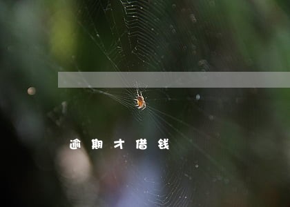 逾期才借钱 逾期才借钱