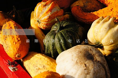 逾期打亲人电话怎么投诉 逾期打亲人电话怎么投诉